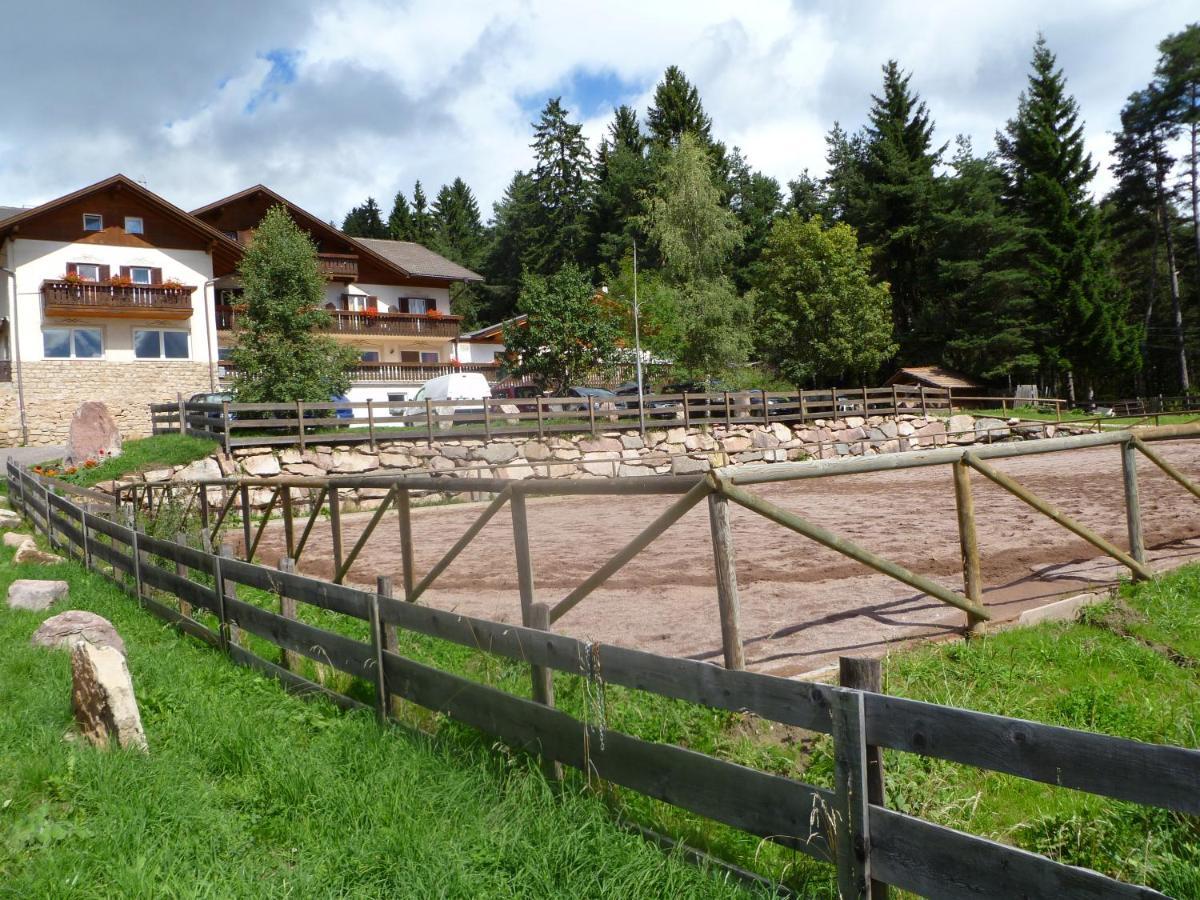 Hotel Reiterhof Edelweiss San Genesio Atesino Esterno foto
